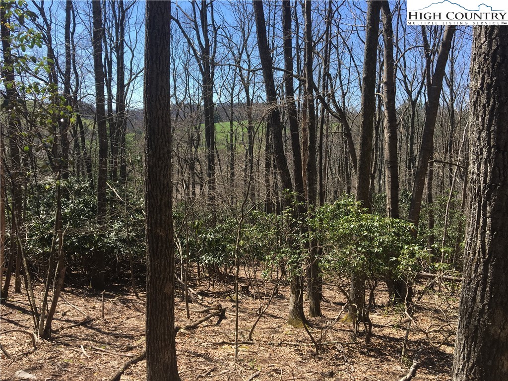 Lot 16 Goshen Drive Boone, NC 28607 - Photo 4 of 6 Gallery Image 4