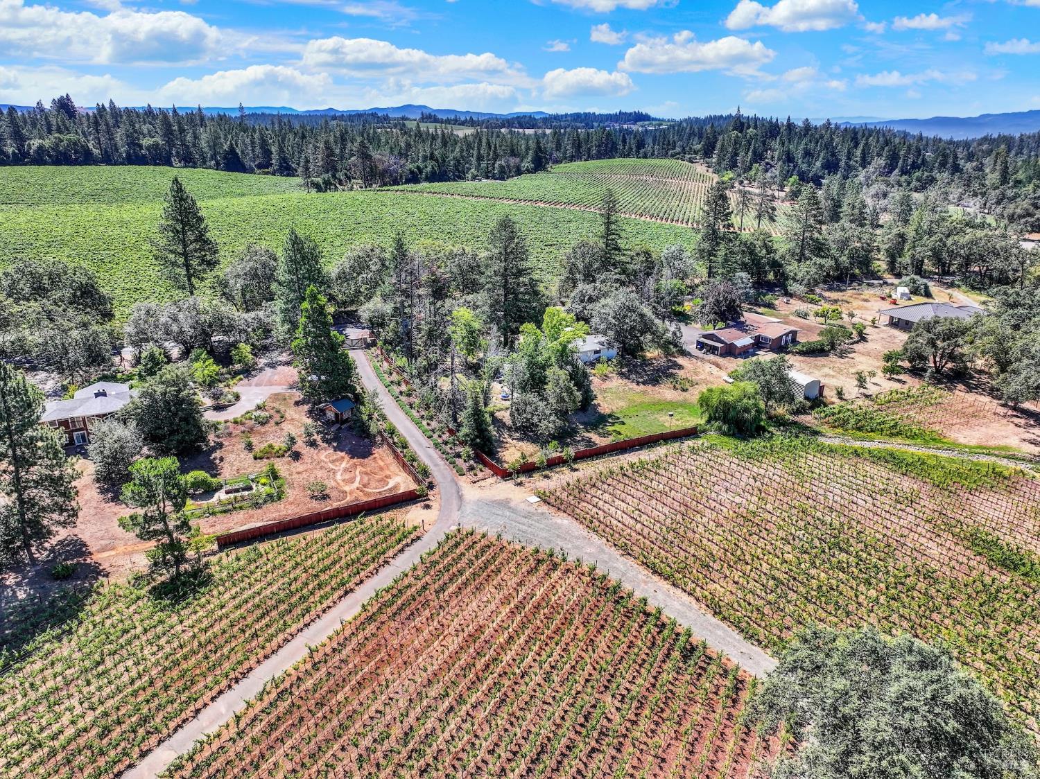 875 White Cottage Road North Angwin, CA 94508 - Photo 7 of 93
