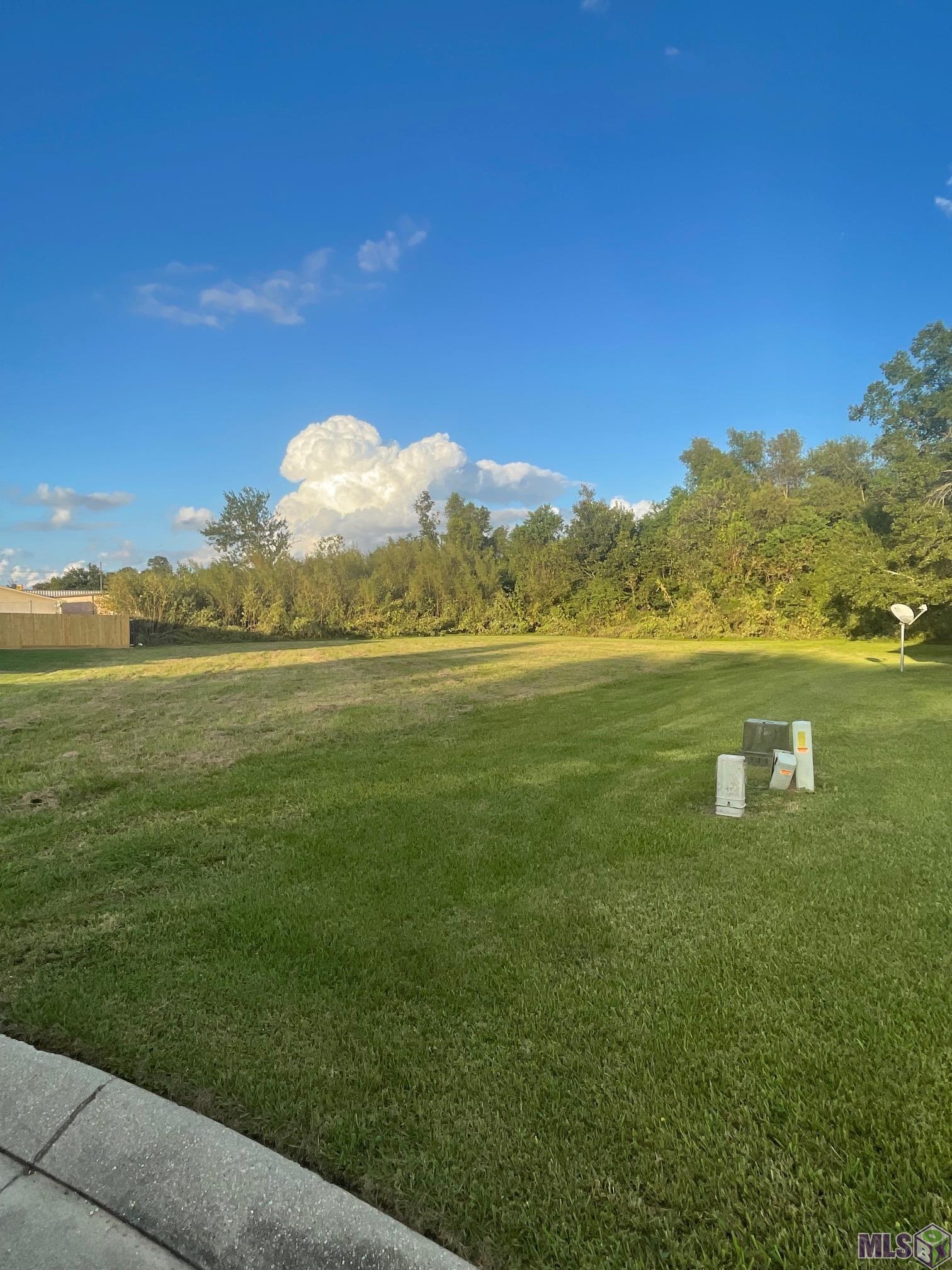 784 Emma Drive Reserve, LA 70084 - Photo 2 of 6