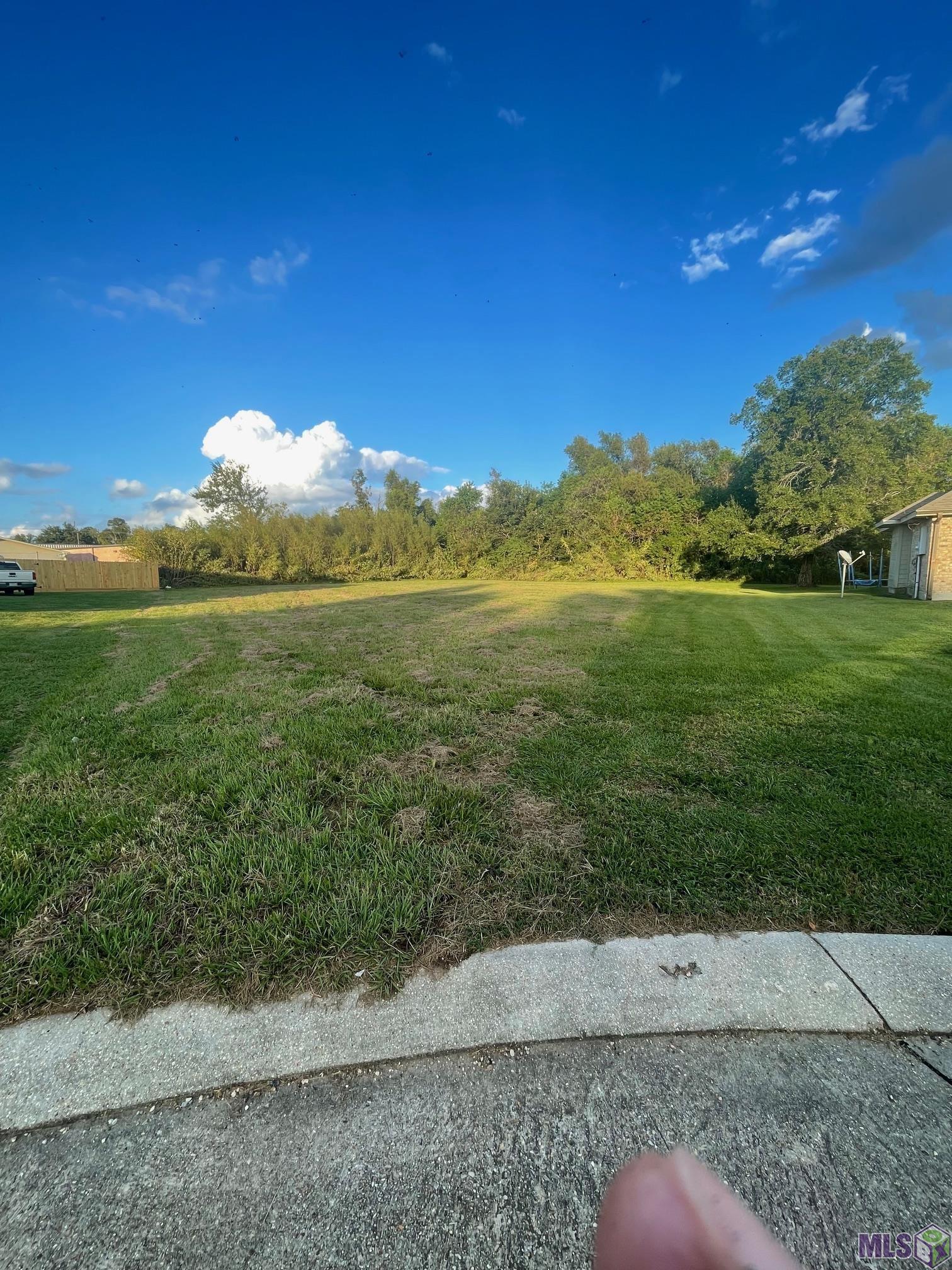 784 Emma Drive Reserve, LA 70084 - Photo 3 of 6