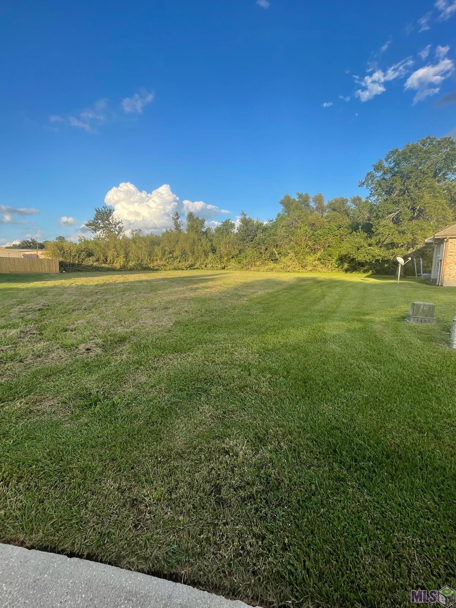 784 Emma Drive Reserve, LA 70084 - Photo 4 of 6