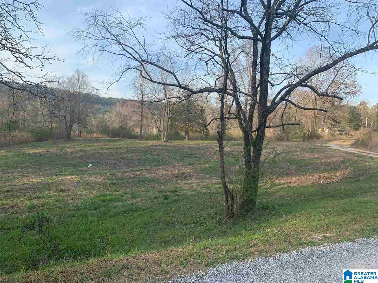 45 Haley Acres Vandiver, AL 35176 - Photo 6 of 13