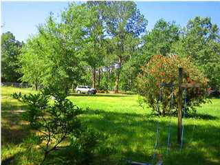 1993 Bay Grove Road Freeport, FL 32439 - Photo 1 of 5 a view of a backyard