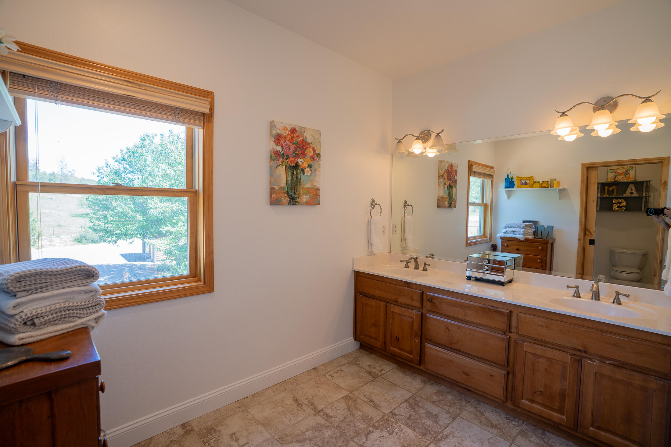 1881 Brophy Road Eagle Point, OR 97524 - Photo 75 of 130 a bathroom with a double vanity sink and a mirror