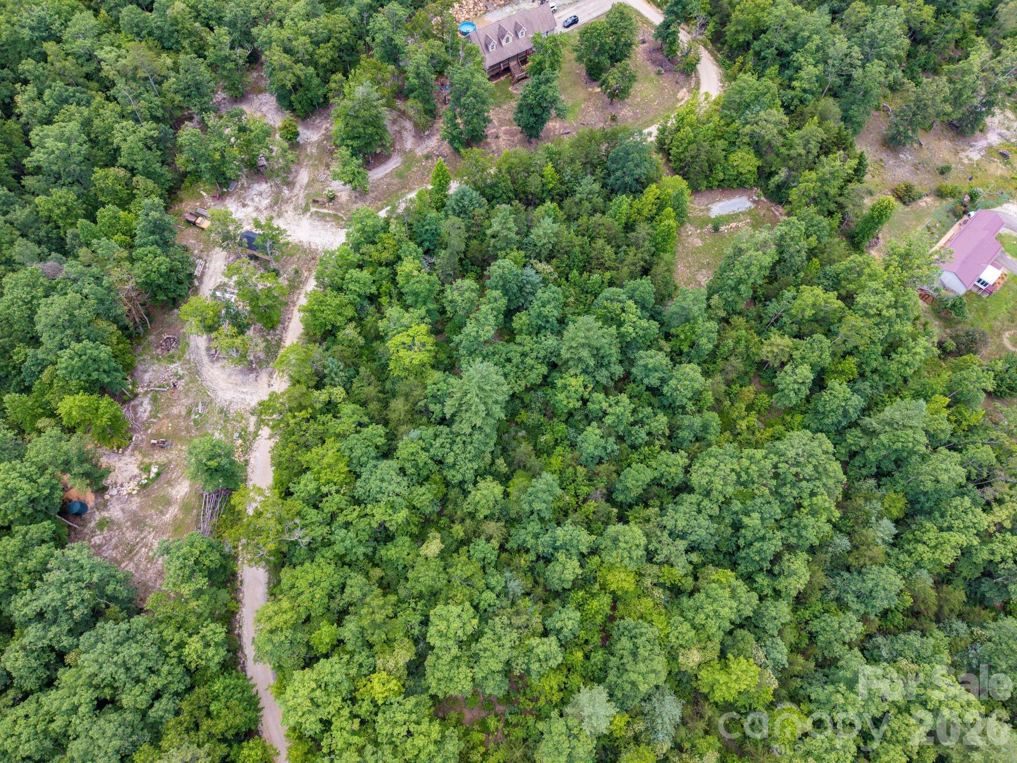6 Dobsons Knob Loop Road Marion, NC 28752 - Photo 5 of 14