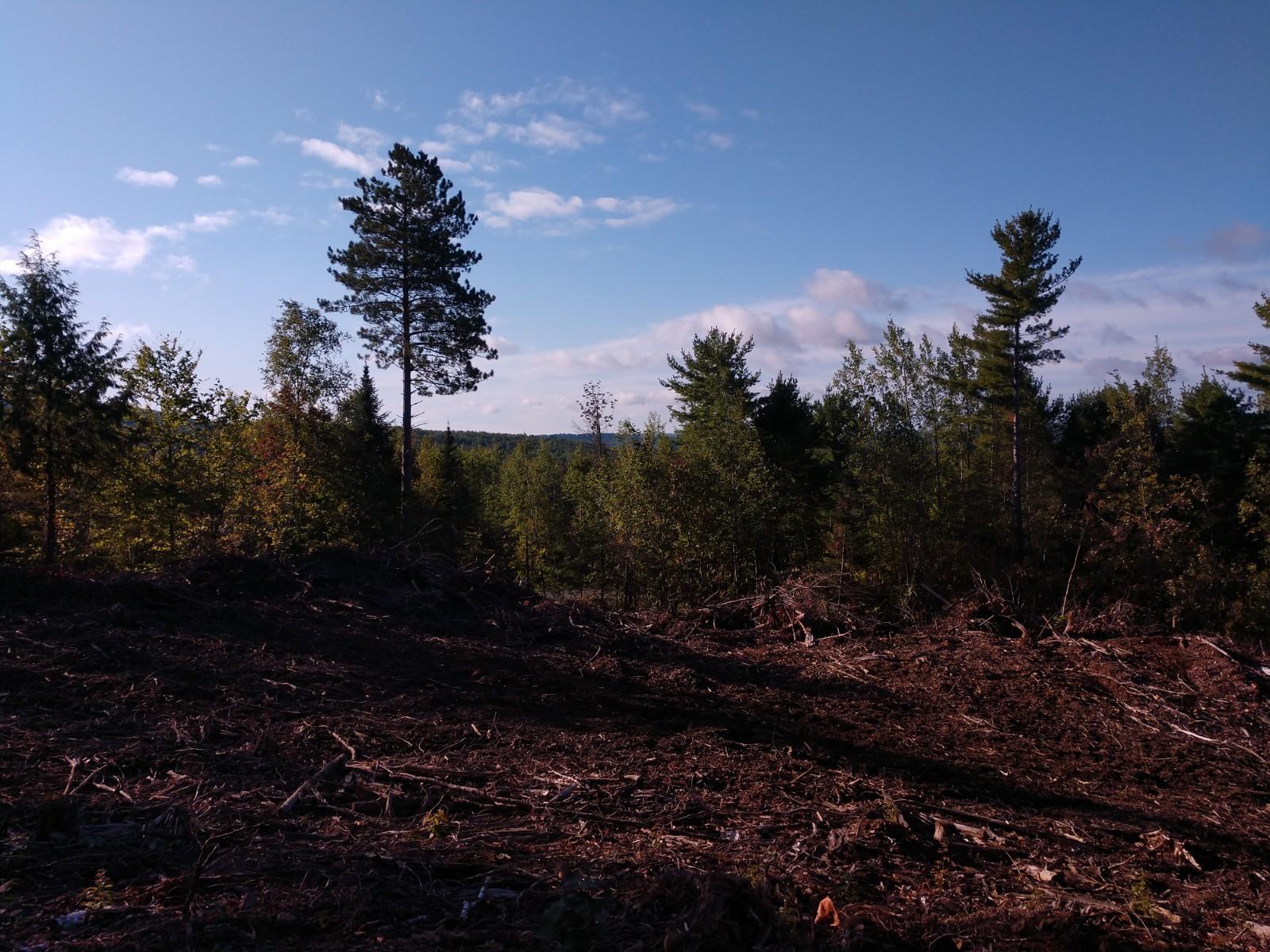 1 Pond Road Dyer Brook, ME 04747 - Photo 5 of 8 IMG_20190916_082215185