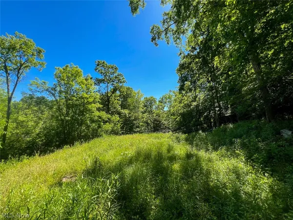 $54,900 | 0 County Road 17, Rayland, OH 43943