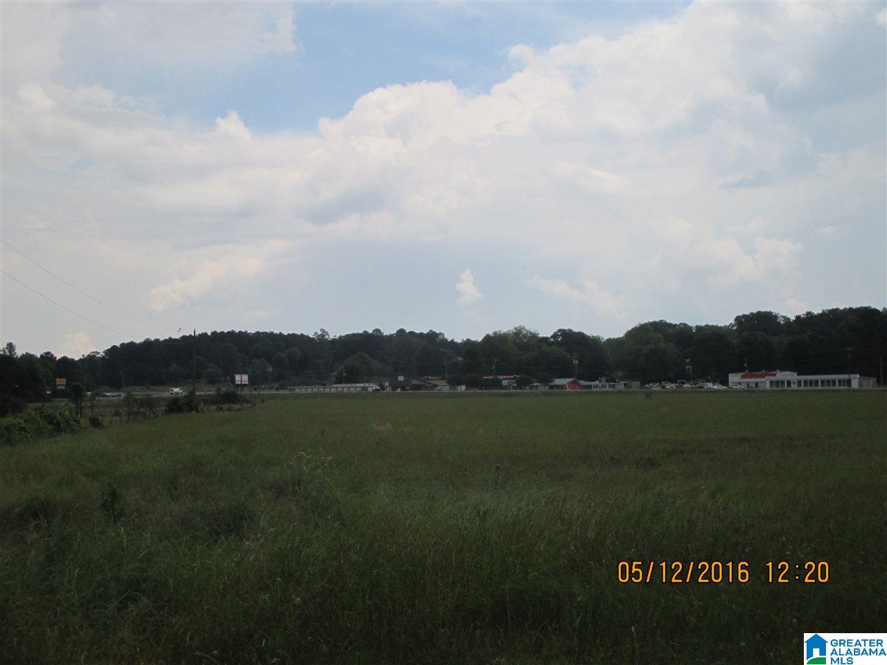 0 Watson Road Cropwell, AL 35054 - Photo 3 of 5