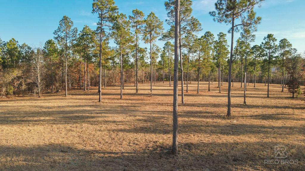 Lot 28 Rembert Place Aiken, SC 29803 - Photo 1 of 18