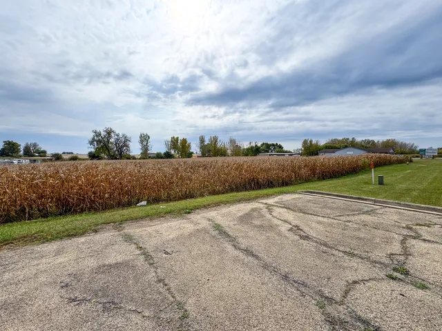 a view of a rural road with plants