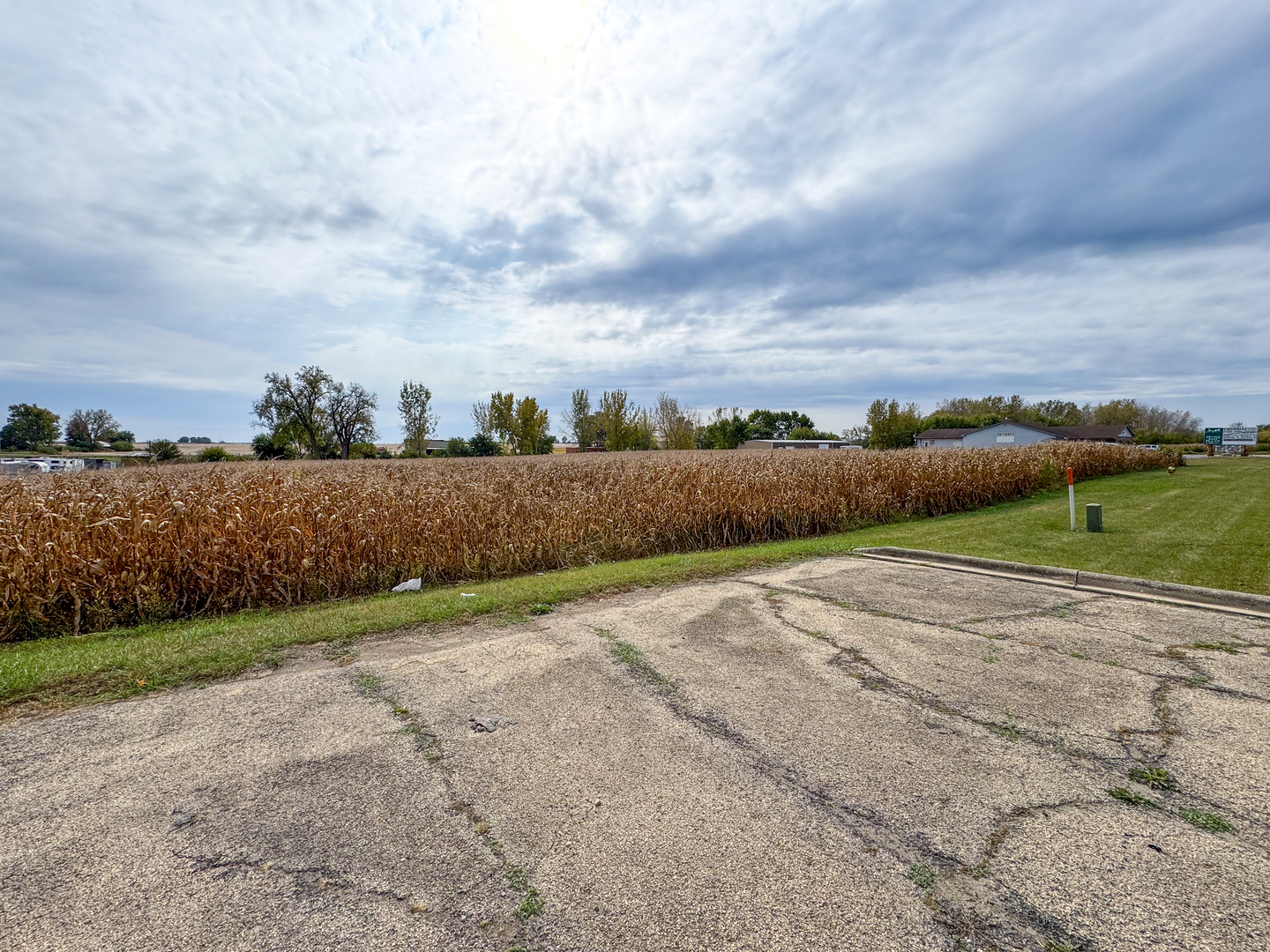 a view of a rural road with plants