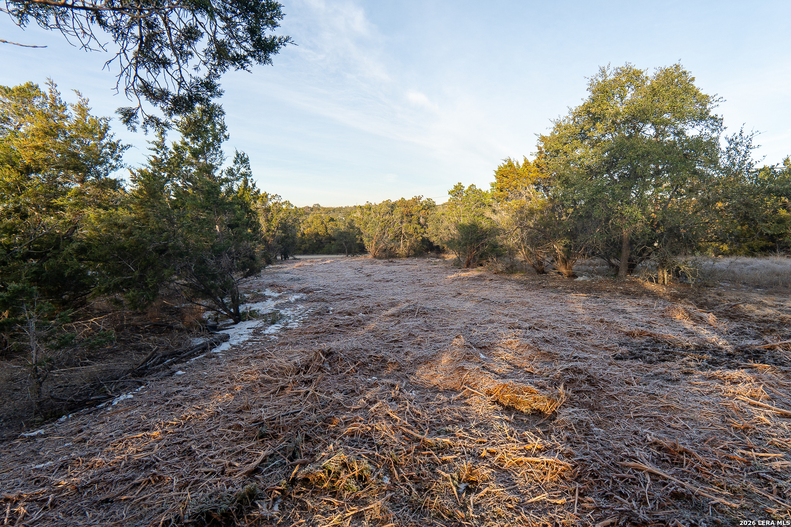1531 Lake Drive Spring Branch, TX 78070 - Photo 3 of 9