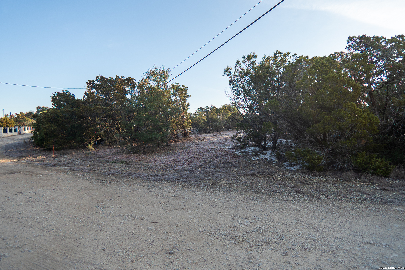 1531 Lake Drive Spring Branch, TX 78070 - Photo 3 of 9 a view of a forest with trees in the background