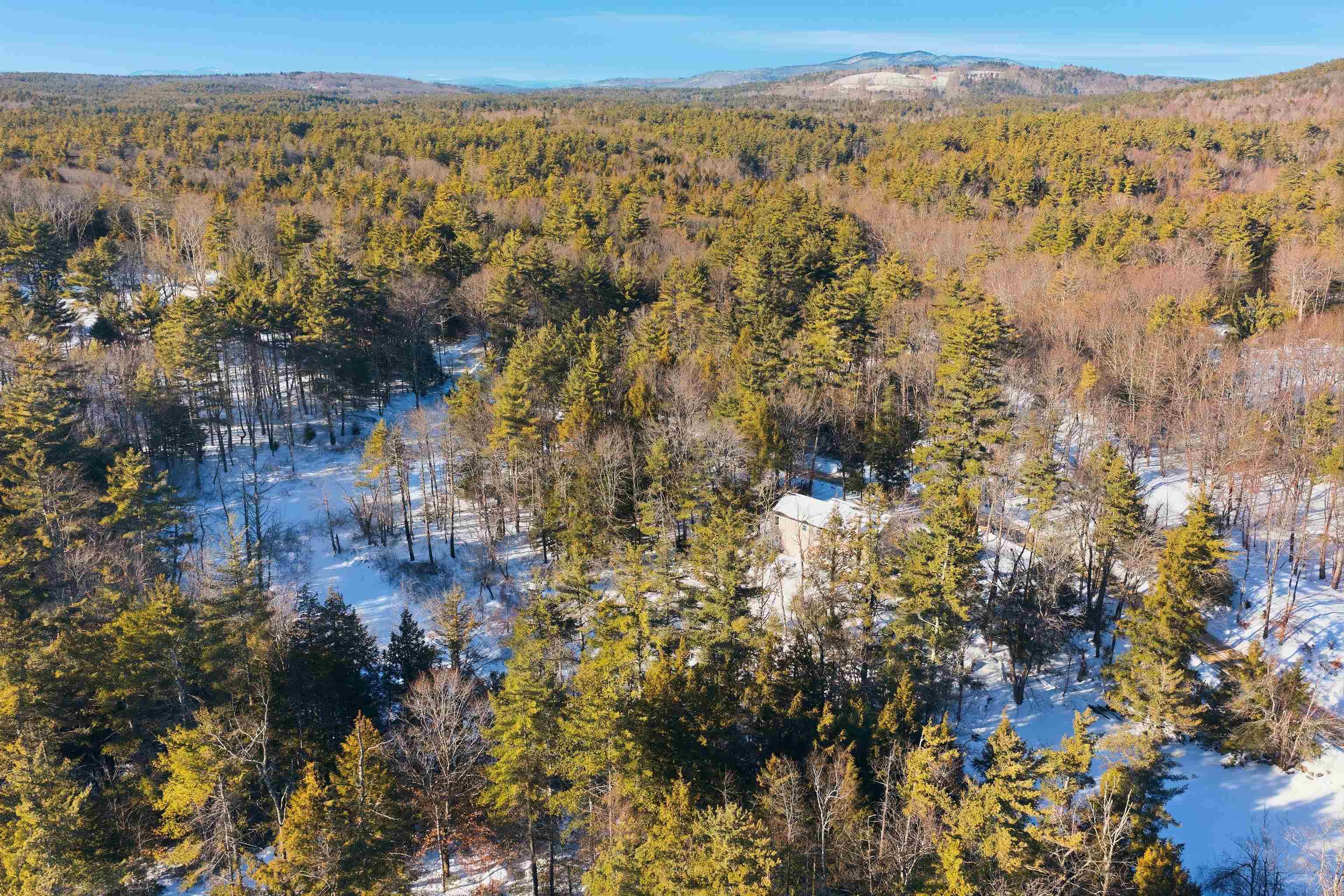 113 Gulf Road Lyndeborough, NH 03082 - Photo 47 of 53