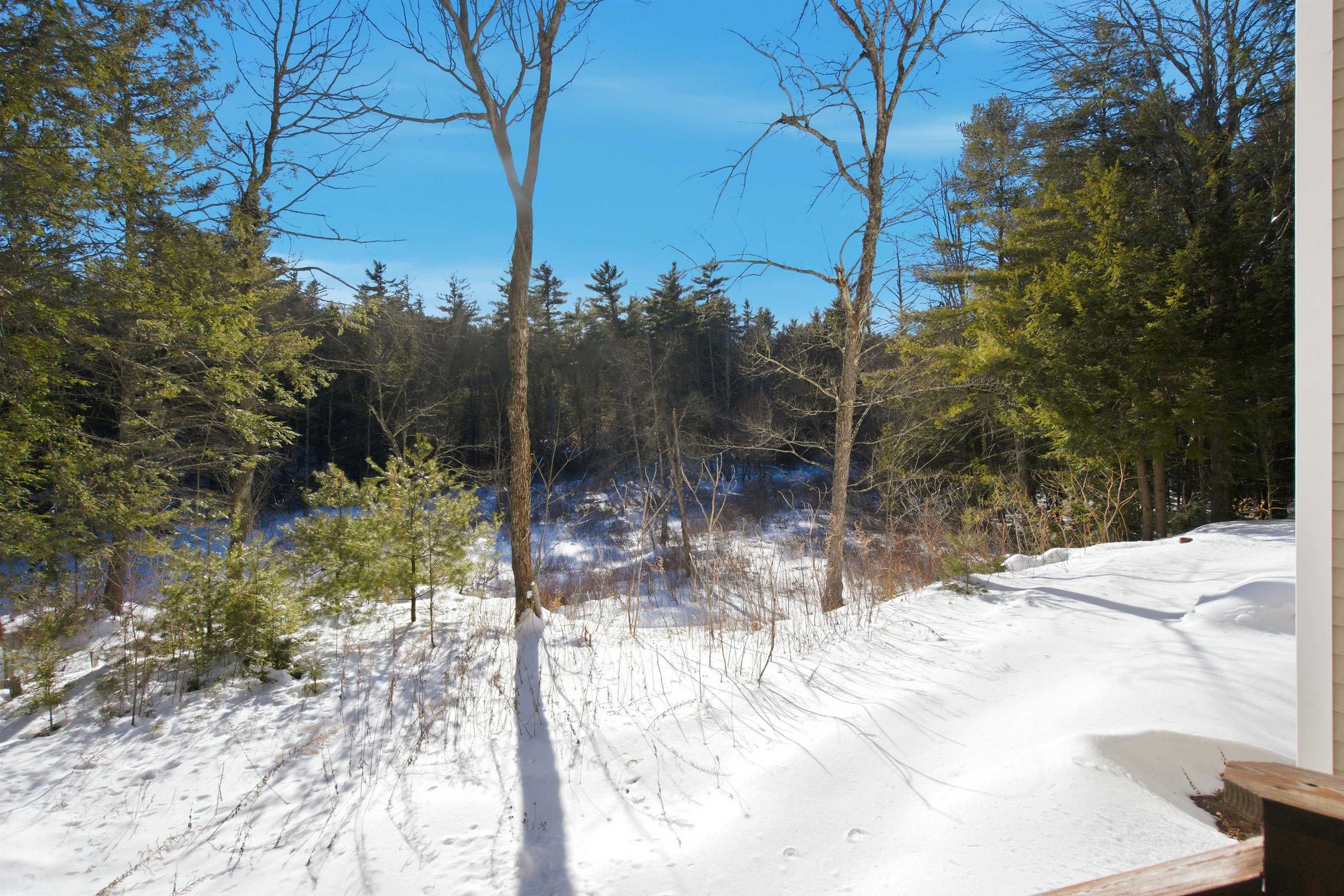 113 Gulf Road Lyndeborough, NH 03082 - Photo 50 of 53