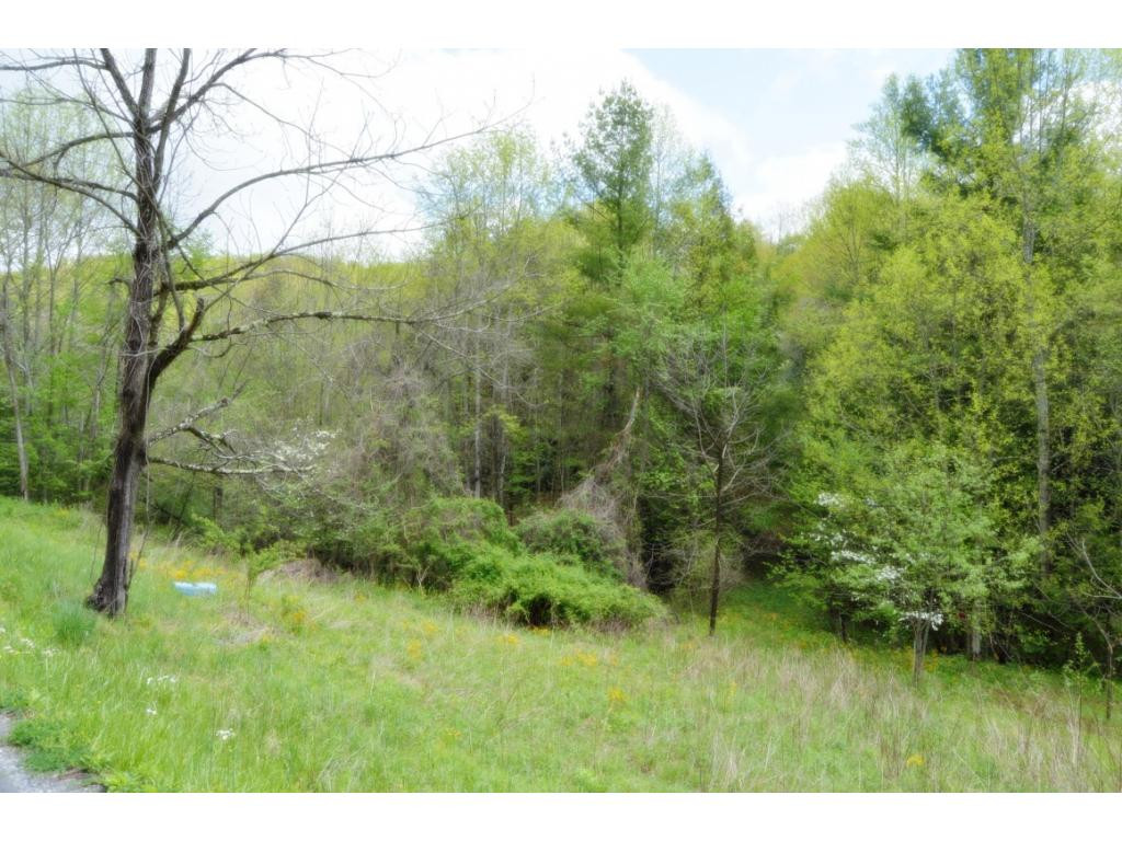 738 Fairview Road Hampton, TN 37658 - Photo 2 of 7 Photo 2