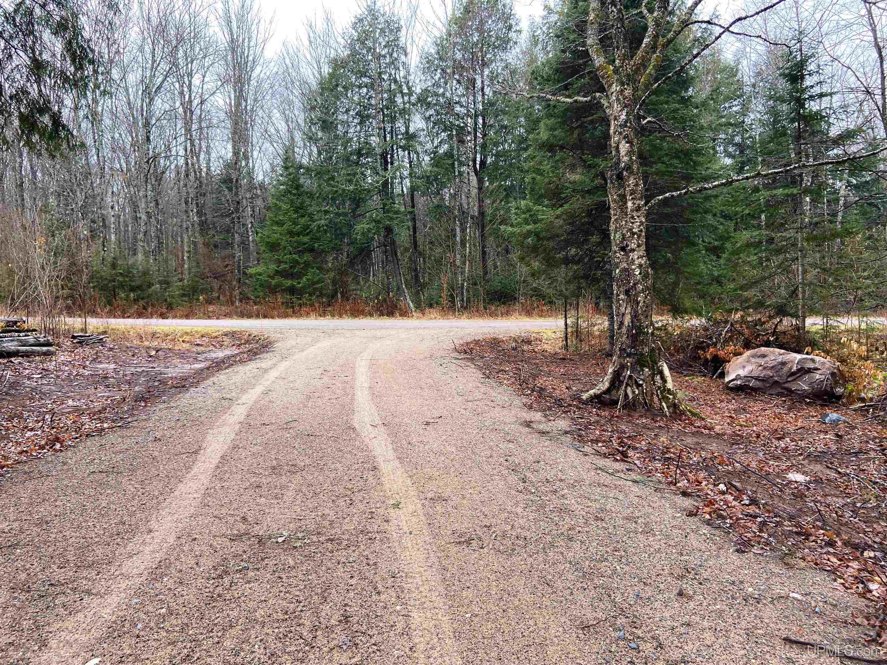 Tbd West Tamarack Lake Road, Unit LOT 5 Watersmeet, MI 49969 - Photo 13 of 66