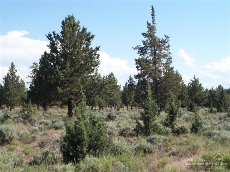 14435 Southwest Pony Trail Road Terrebonne, OR 97760 - Photo 5 of 15 Additional Photo