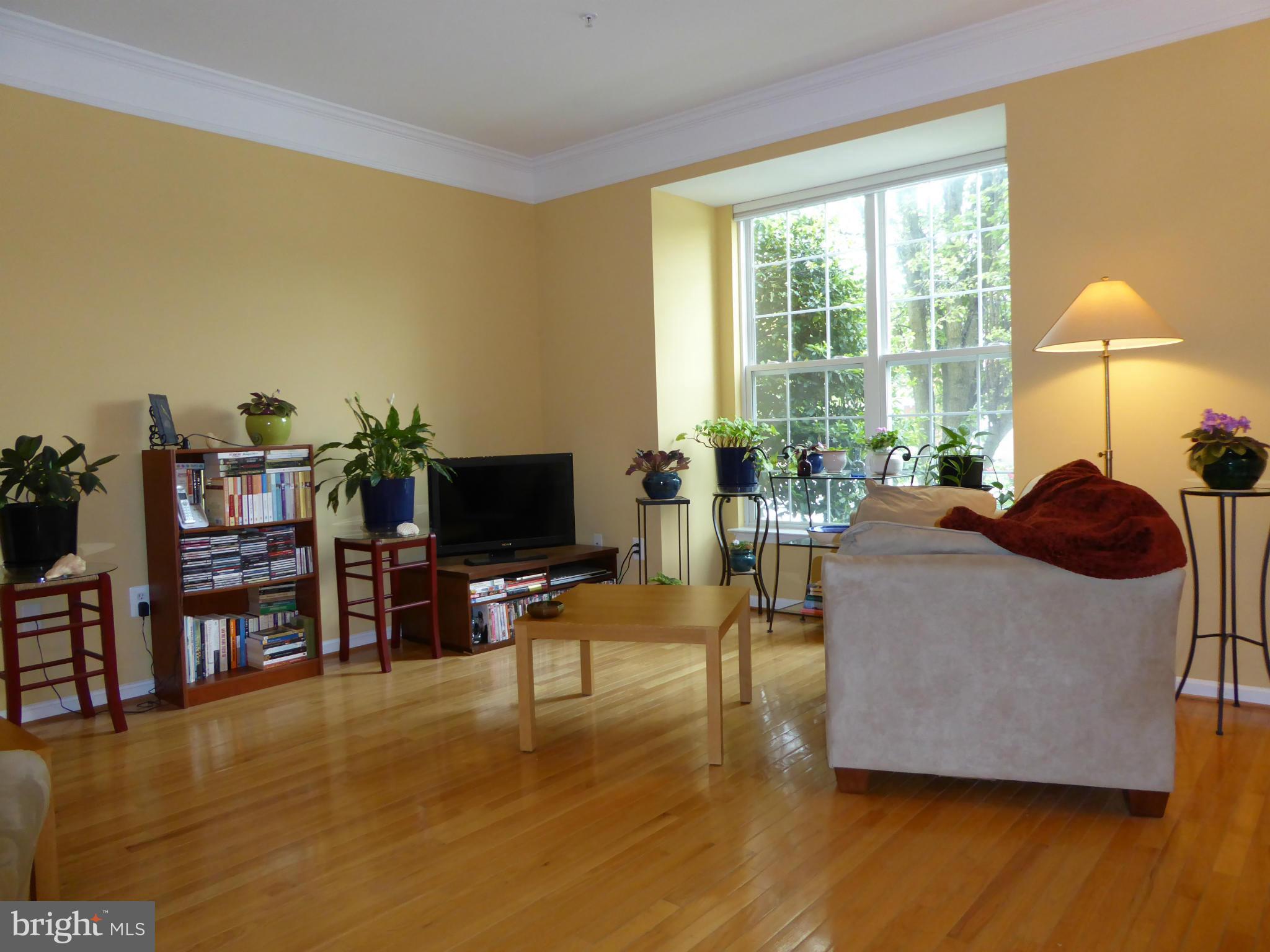 15106 Snow Mass Court Silver Spring, MD 20906 - Photo 4 of 26 Interior (General)