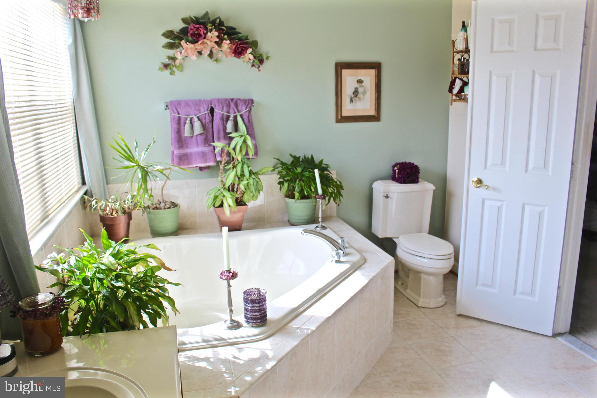 3380 Evans Road Huntingtown, MD 20639 - Photo 18 of 30 Bath (Master)
