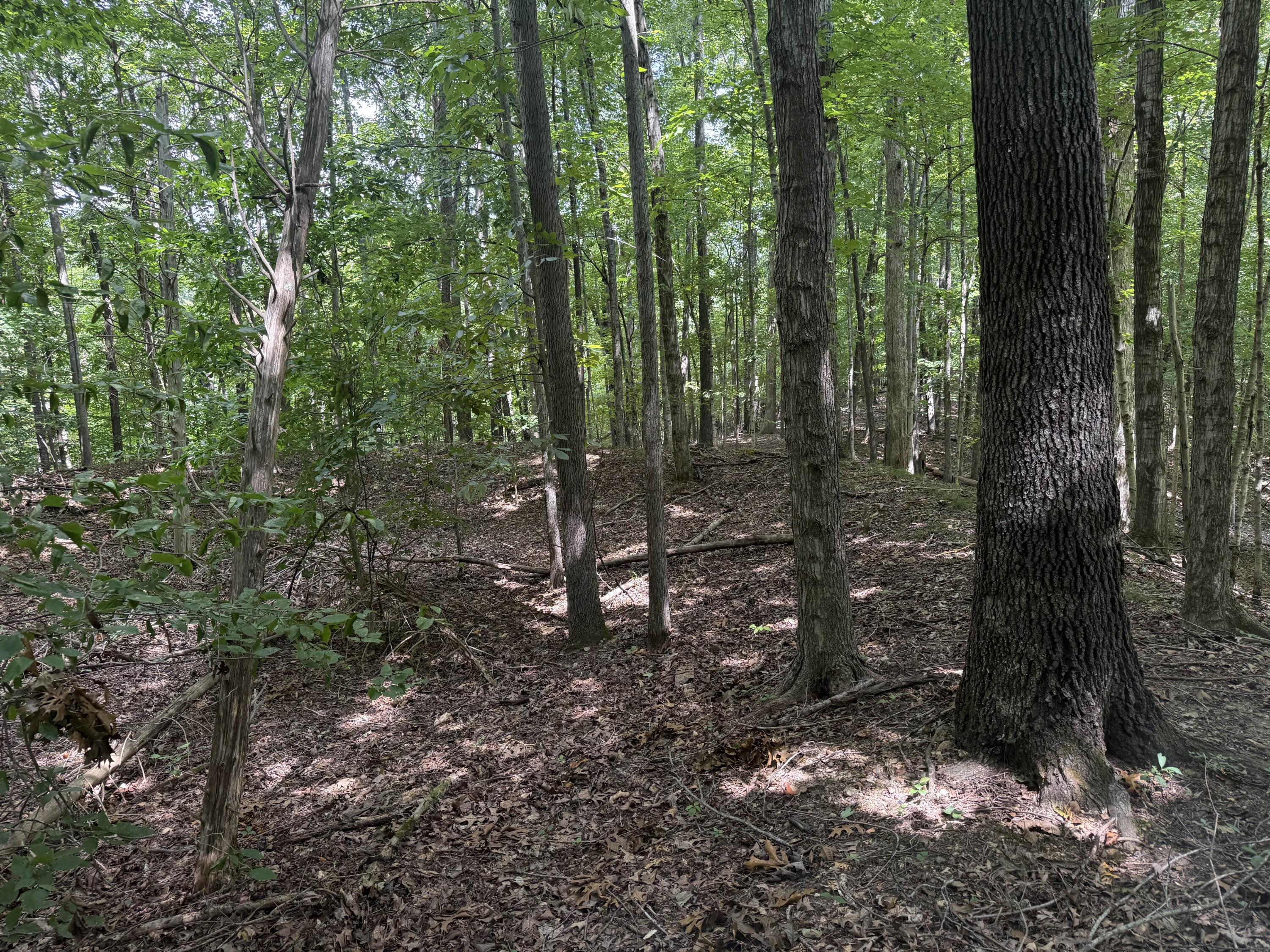 0 Perry Springs Road Eddyville, KY 42038 - Photo 18 of 41 14