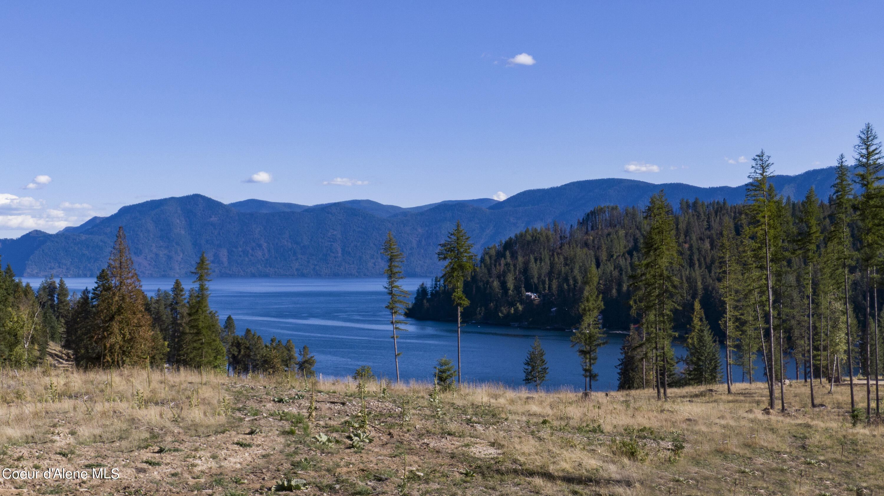 CB - 9-16-2021 - Lot 21 - 003