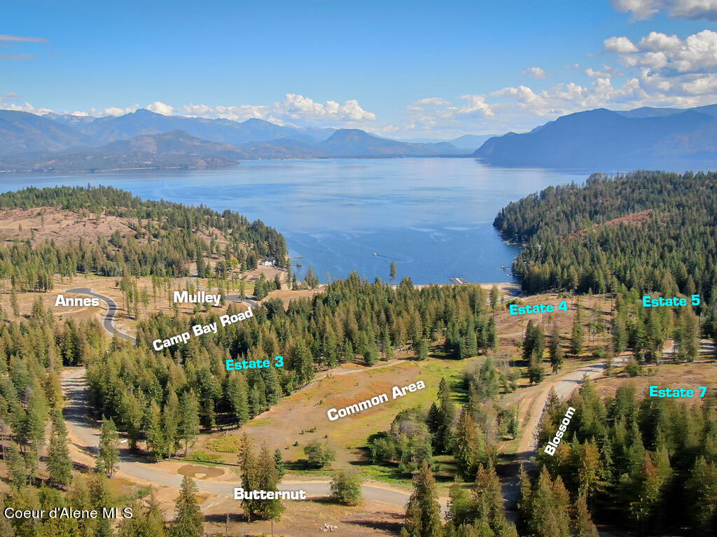 Lot 21 Camp Bay Road Sagle, ID 83860 - Photo 18 of 39 Estate Lot Area