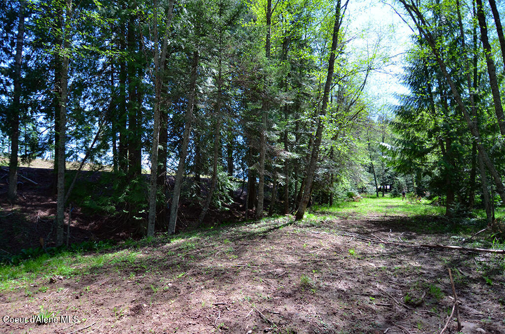 Lot 21 Camp Bay Road Sagle, ID 83860 - Photo 19 of 39 Hiking Trail
