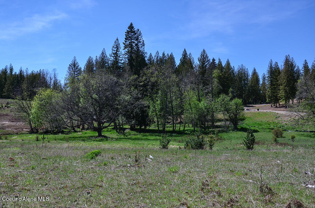Lot 21 Camp Bay Road Sagle, ID 83860 - Photo 21 of 39 Common Open Space