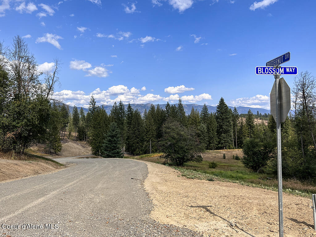 Lot 21 Camp Bay Road Sagle, ID 83860 - Photo 23 of 39 Butternut Drive