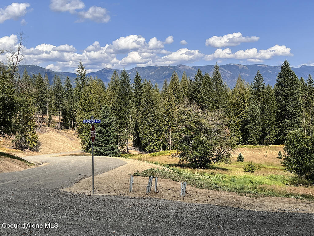 Lot 21 Camp Bay Road Sagle, ID 83860 - Photo 24 of 39 Butternut & Blossom Intersection