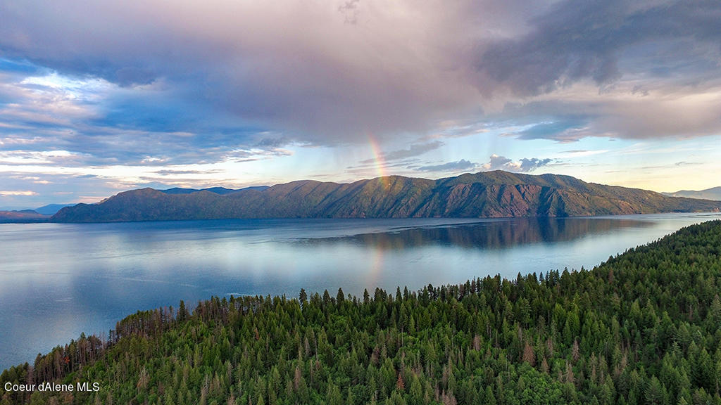 Lot 21 Camp Bay Road Sagle, ID 83860 - Photo 29 of 39 Camp Bay view of monarchs