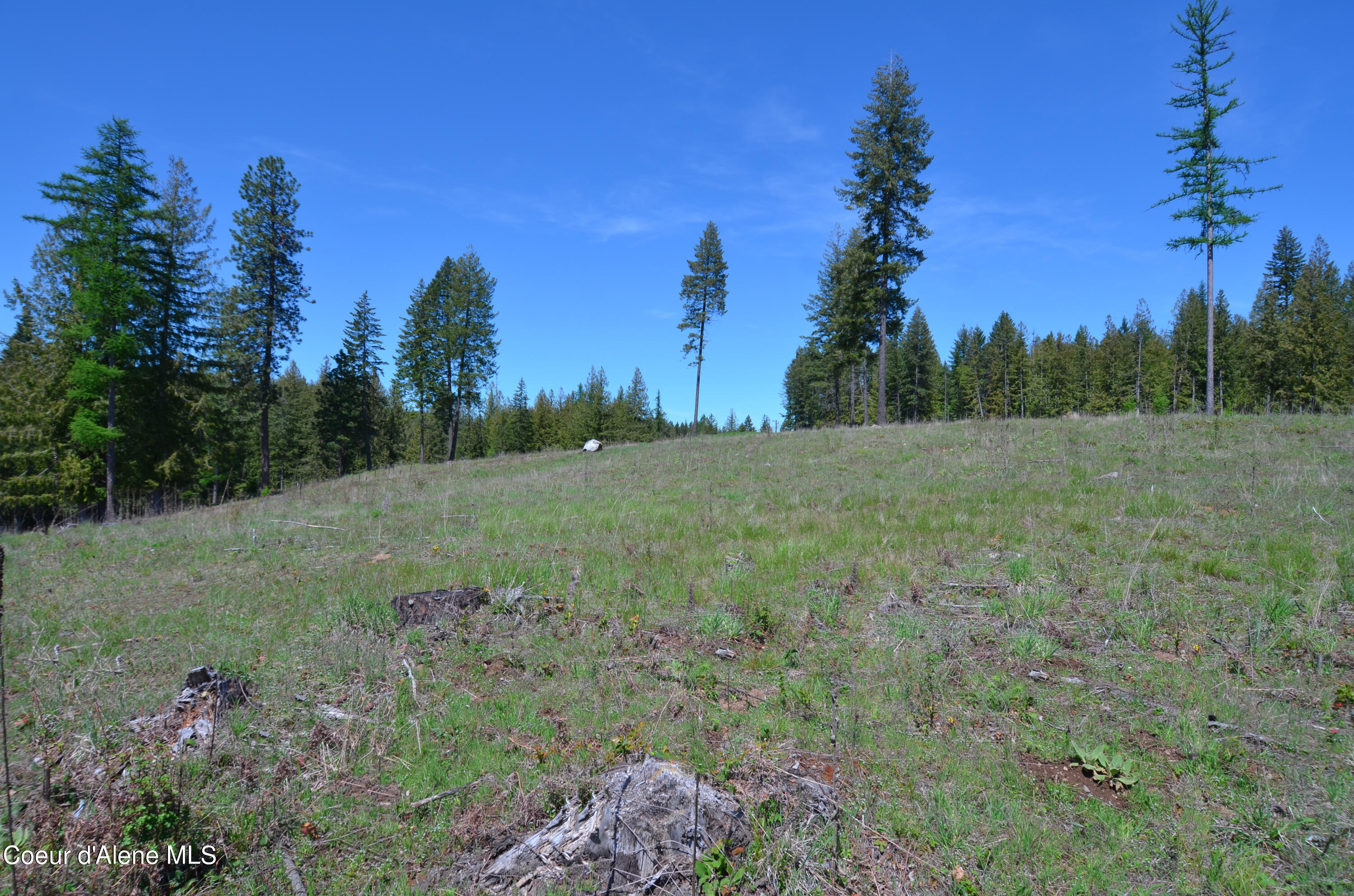 Lot 21 Camp Bay Road Sagle, ID 83860 - Photo 4 of 39 Lot 21 CB 5-9-2024 - (5)