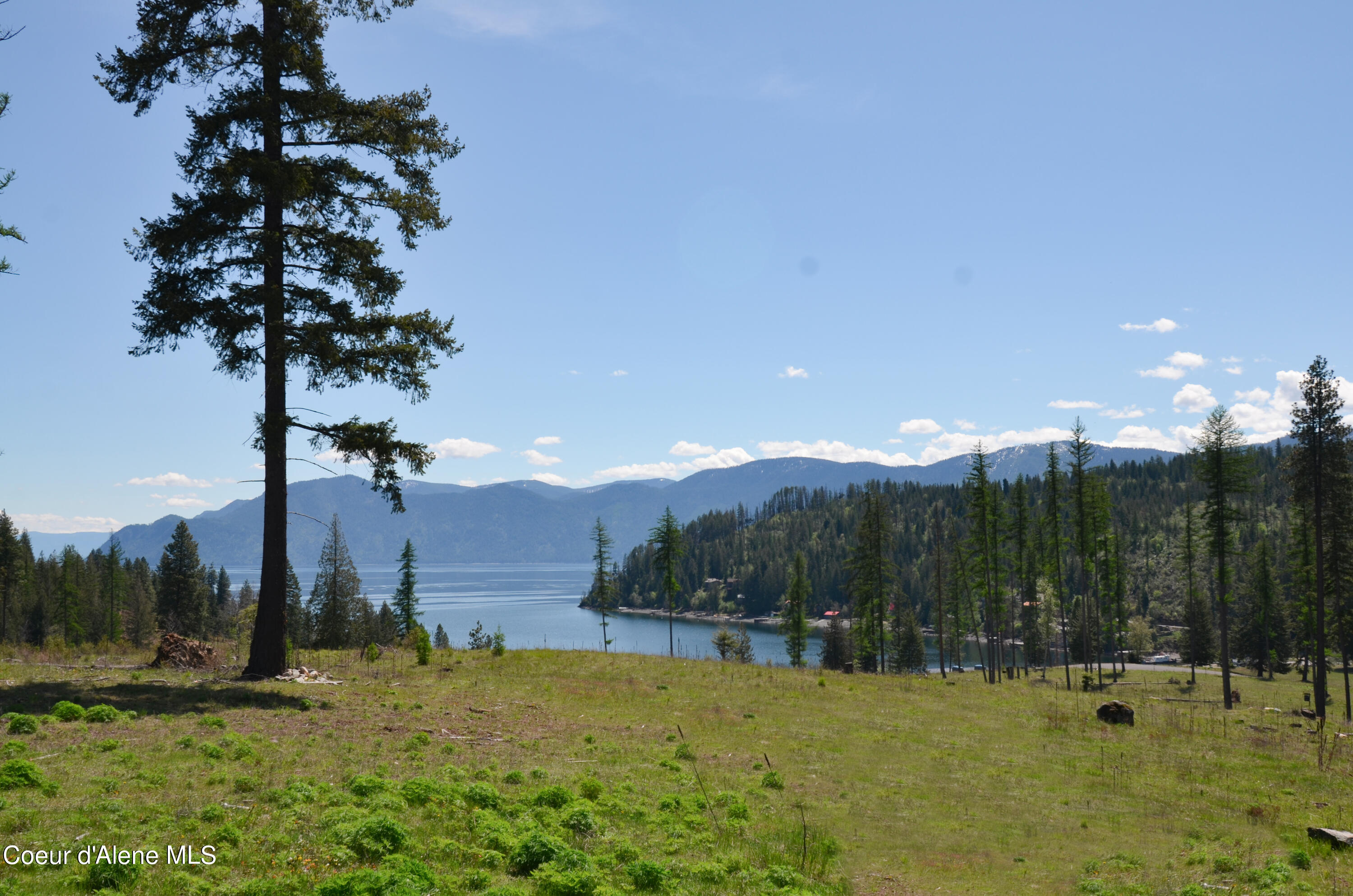 Lot 21 Camp Bay Road Sagle, ID 83860 - Photo 8 of 39 Lot 21 CB 5-9-2024 - (14)