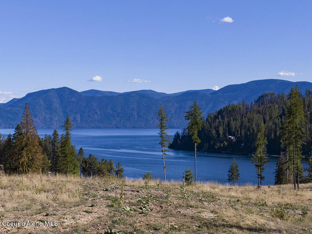 Lot 21 Camp Bay Road Sagle, ID 83860 - Photo 10 of 39 Primary Image