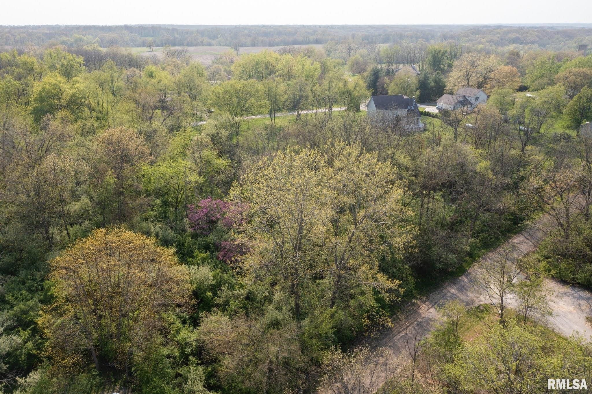 North Apache Path Danvers, IL 61732 - Photo 13 of 20