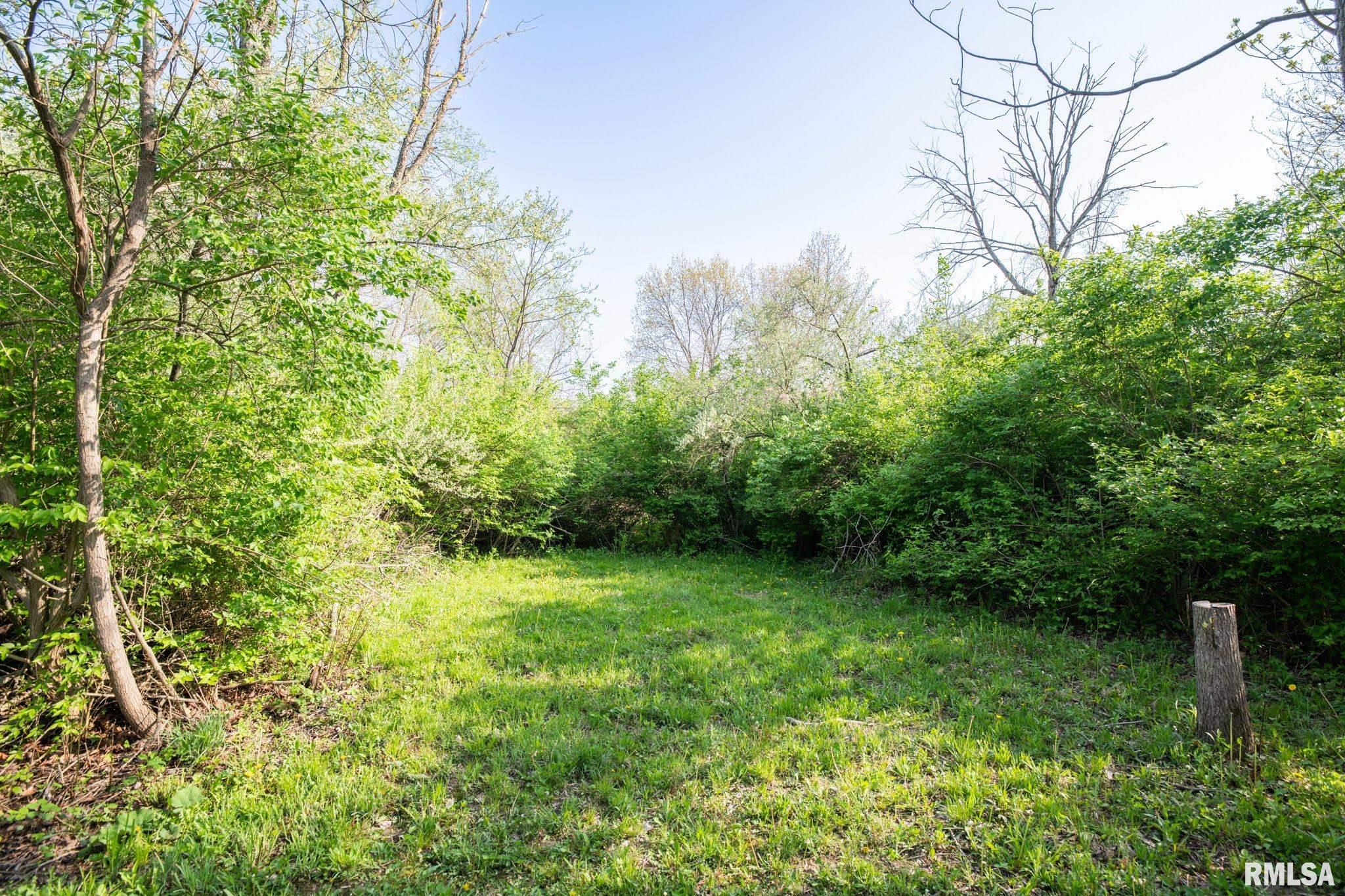 North Apache Path Danvers, IL 61732 - Photo 2 of 20