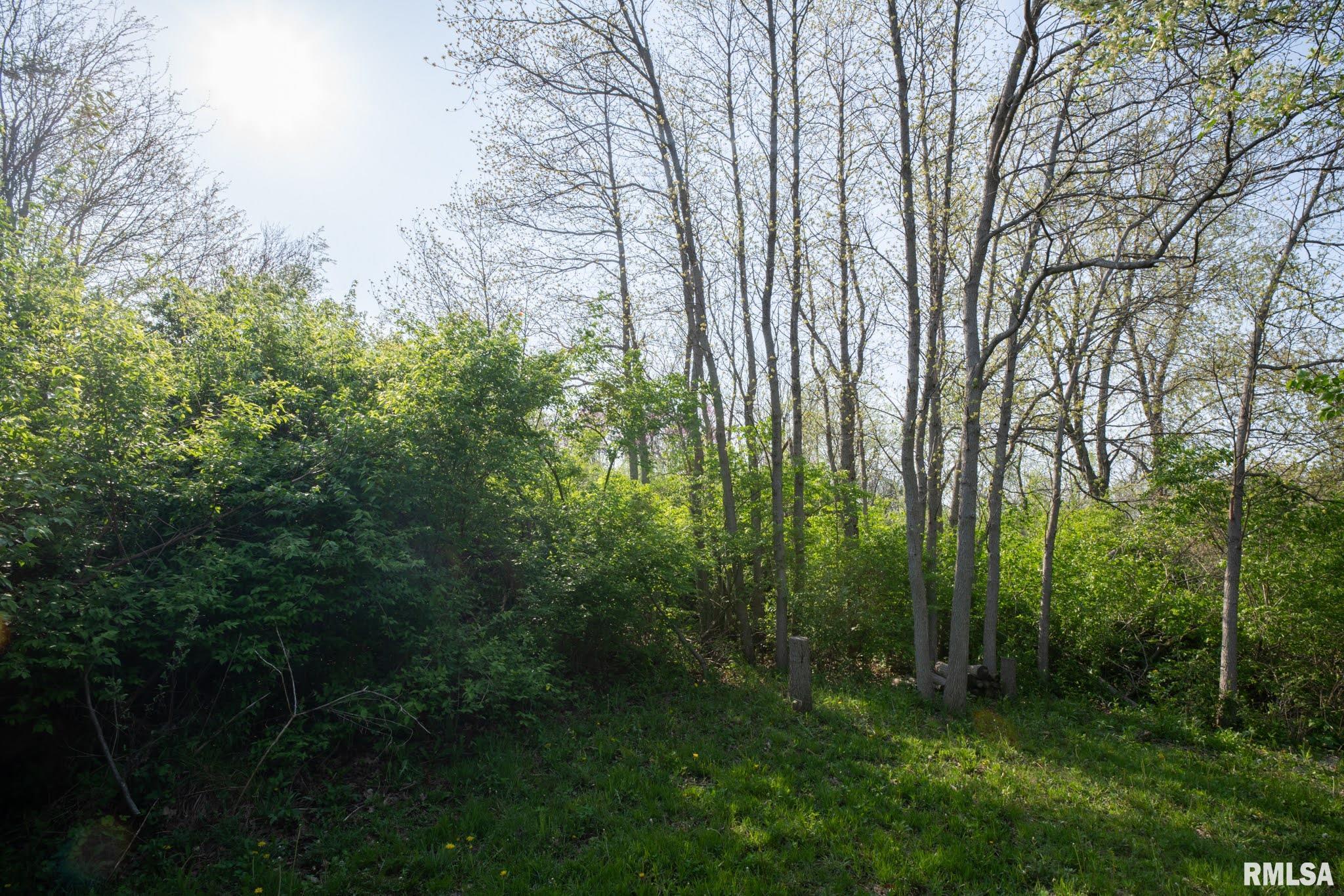 North Apache Path Danvers, IL 61732 - Photo 4 of 20