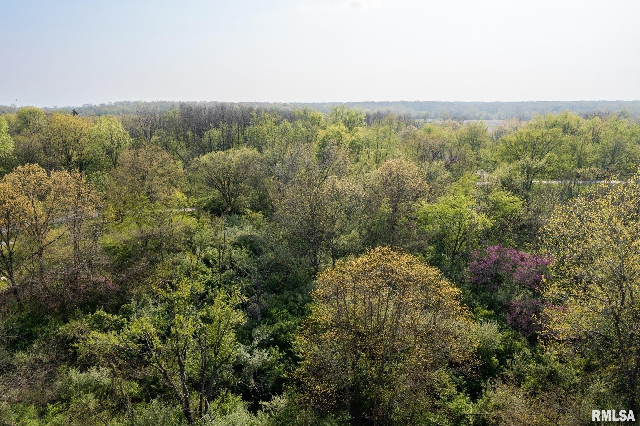 North Apache Path Danvers, IL 61732 - Photo 7 of 20