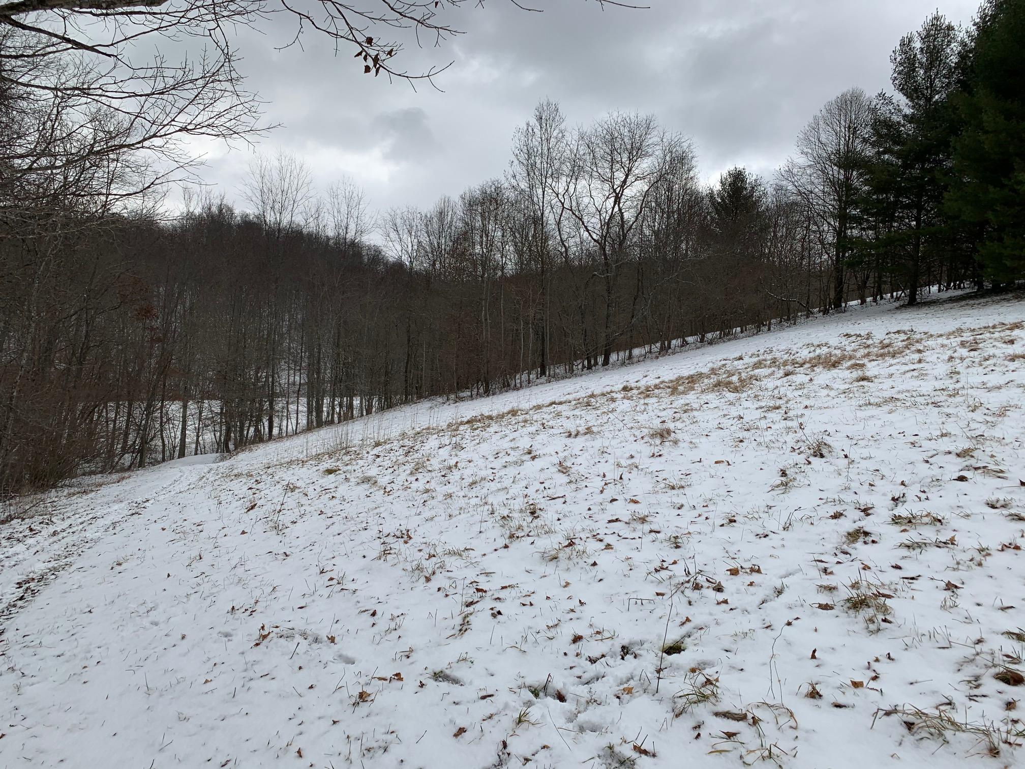 Ridge Road Williamsburg, WV 24991 - Photo 3 of 10 Gallery Image 3