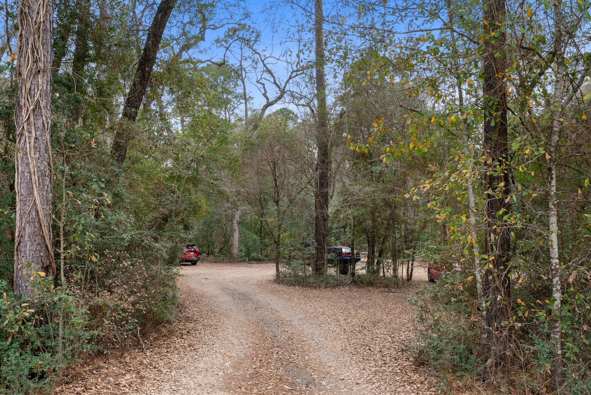 98 South Wilde Yaupon Court Spring, TX 77381 - Photo 47 of 50