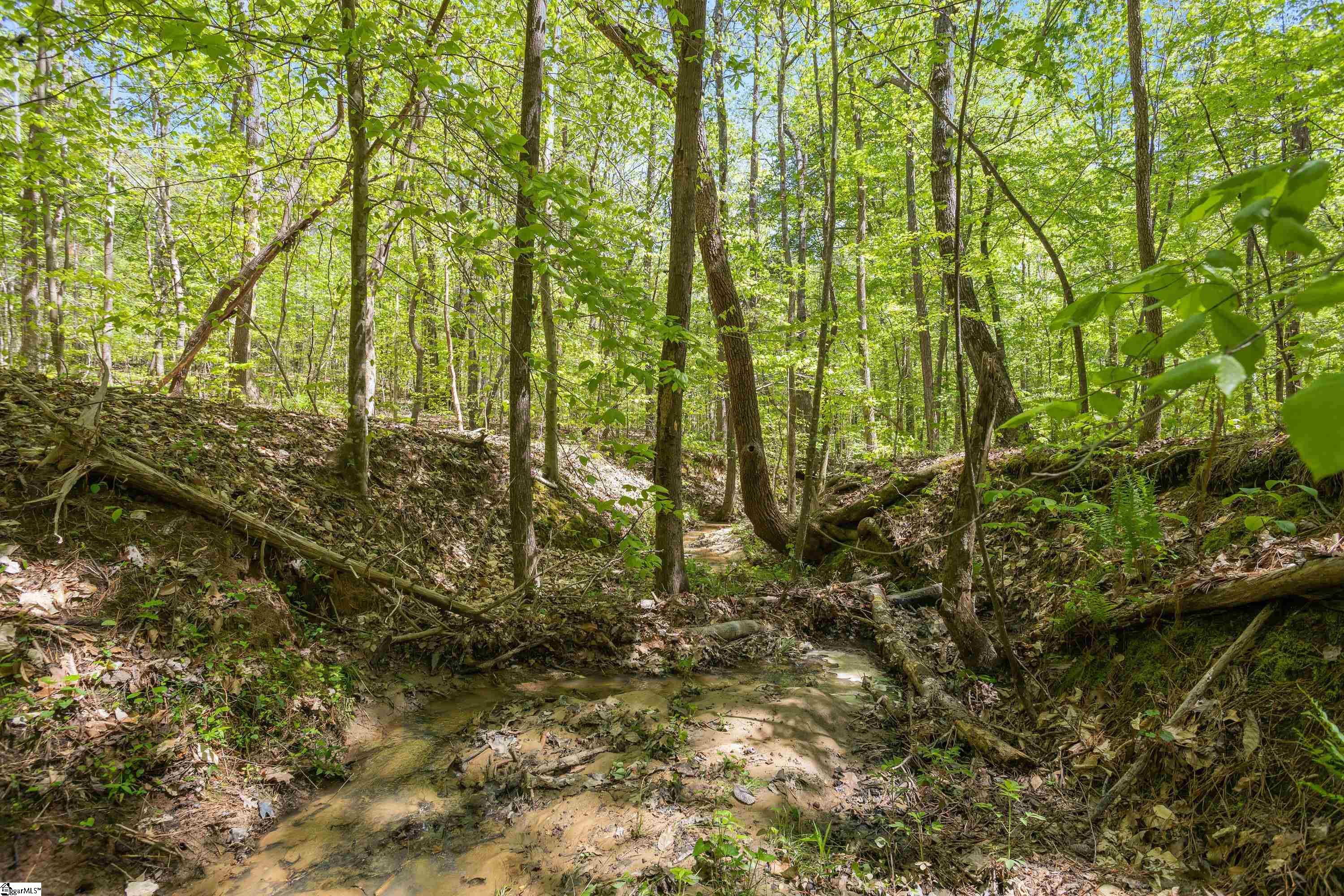 738 Lake Road, Unit LOT 1 Clinton, SC 29325 - Photo 14 of 24