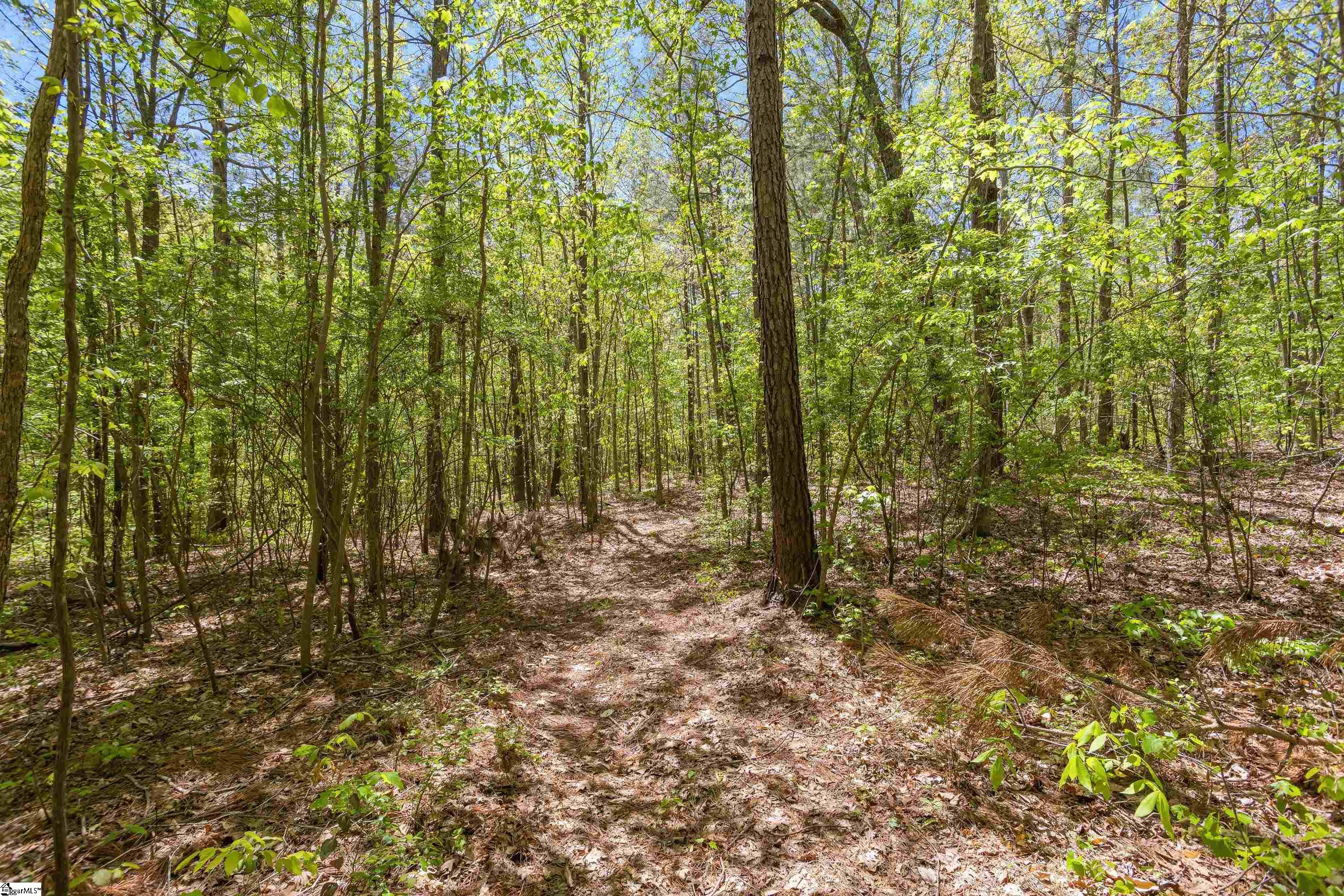 738 Lake Road, Unit LOT 1 Clinton, SC 29325 - Photo 16 of 24