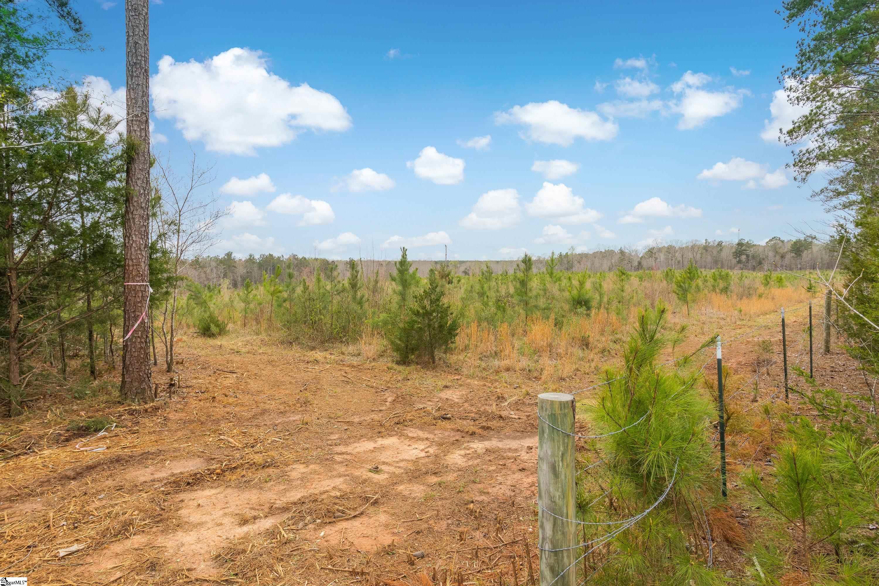 738 Lake Road, Unit LOT 1 Clinton, SC 29325 - Photo 18 of 24