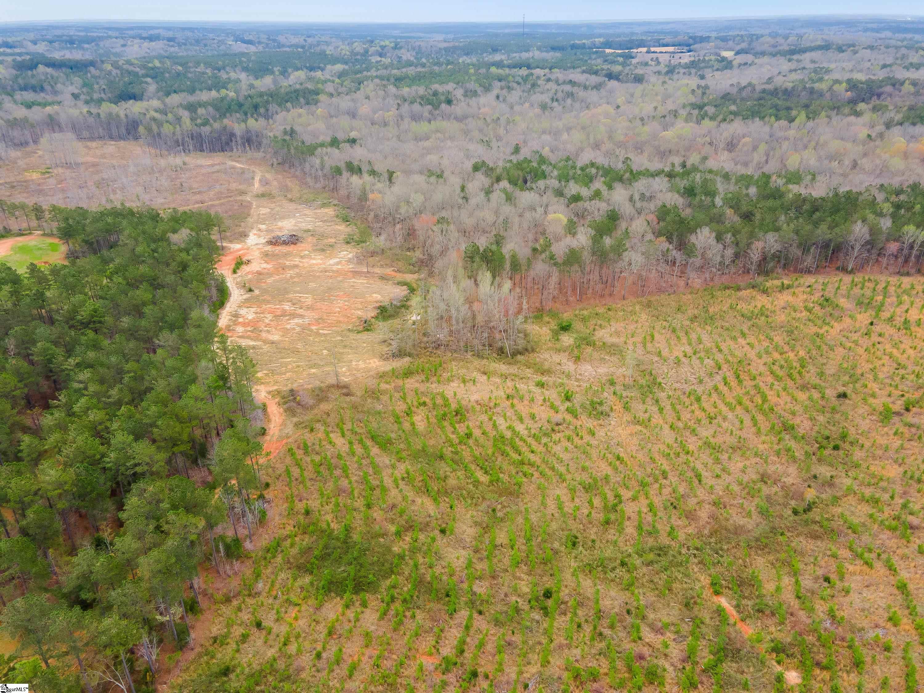 738 Lake Road, Unit LOT 1 Clinton, SC 29325 - Photo 19 of 24