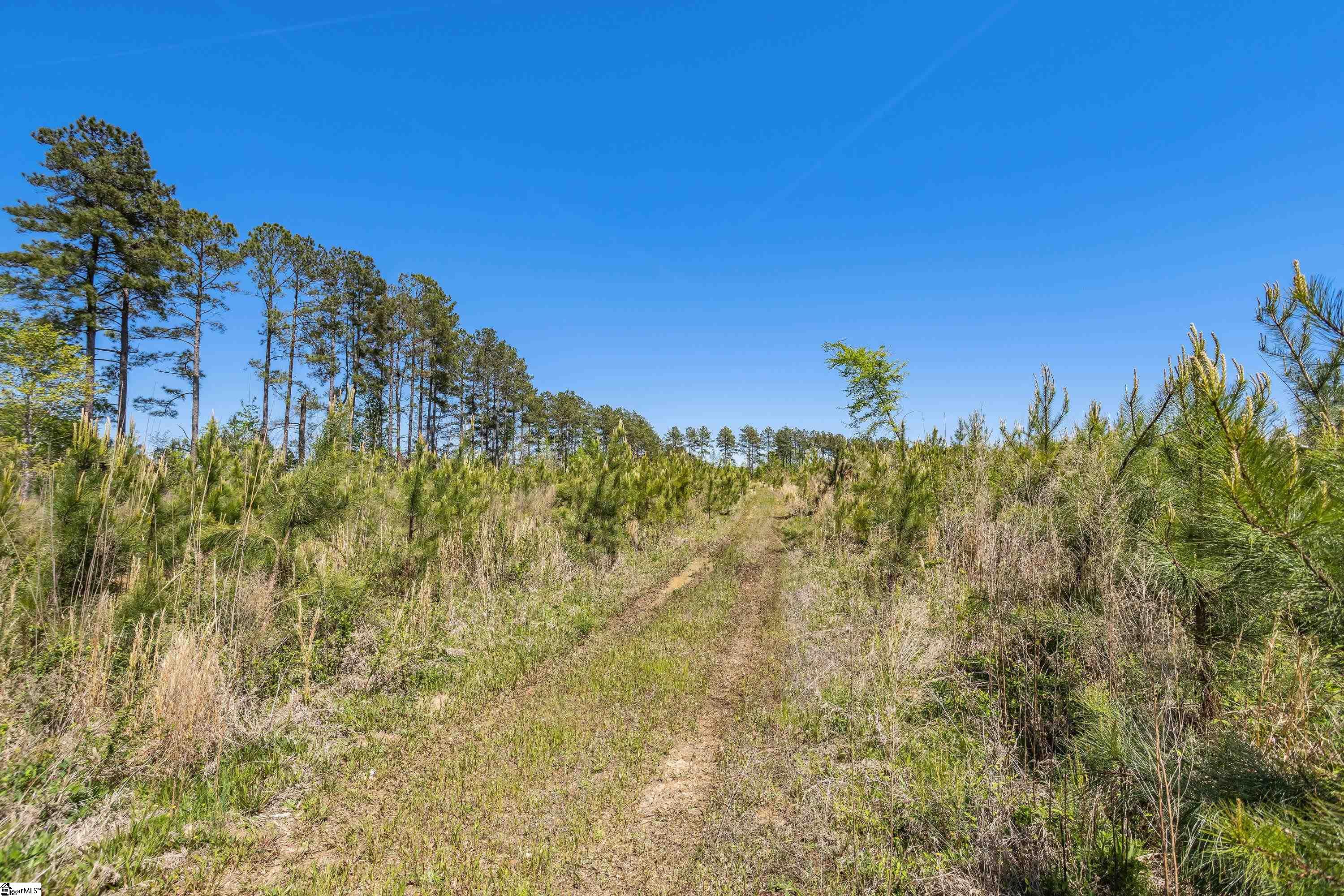 738 Lake Road, Unit LOT 1 Clinton, SC 29325 - Photo 21 of 24