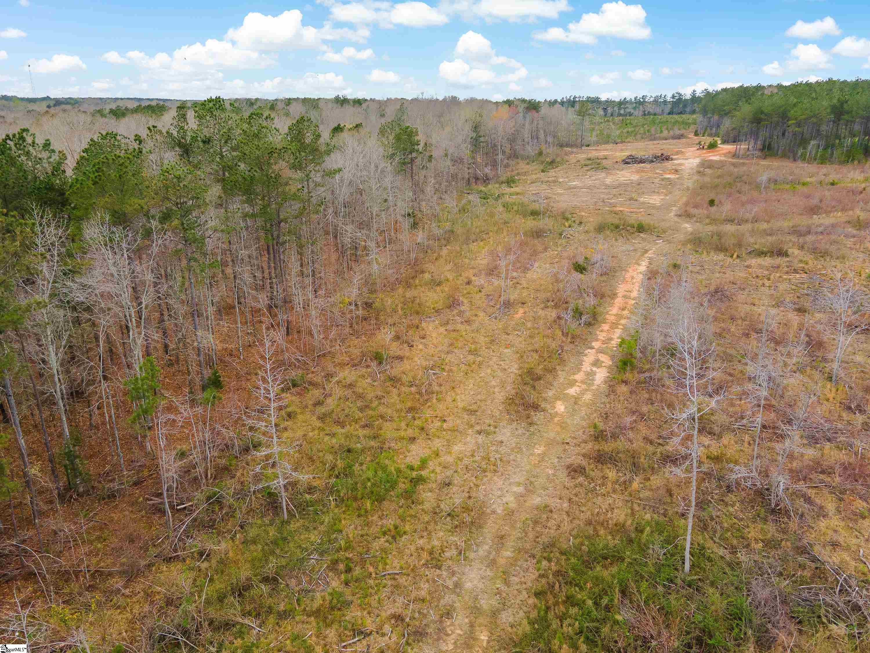 738 Lake Road, Unit LOT 1 Clinton, SC 29325 - Photo 23 of 24
