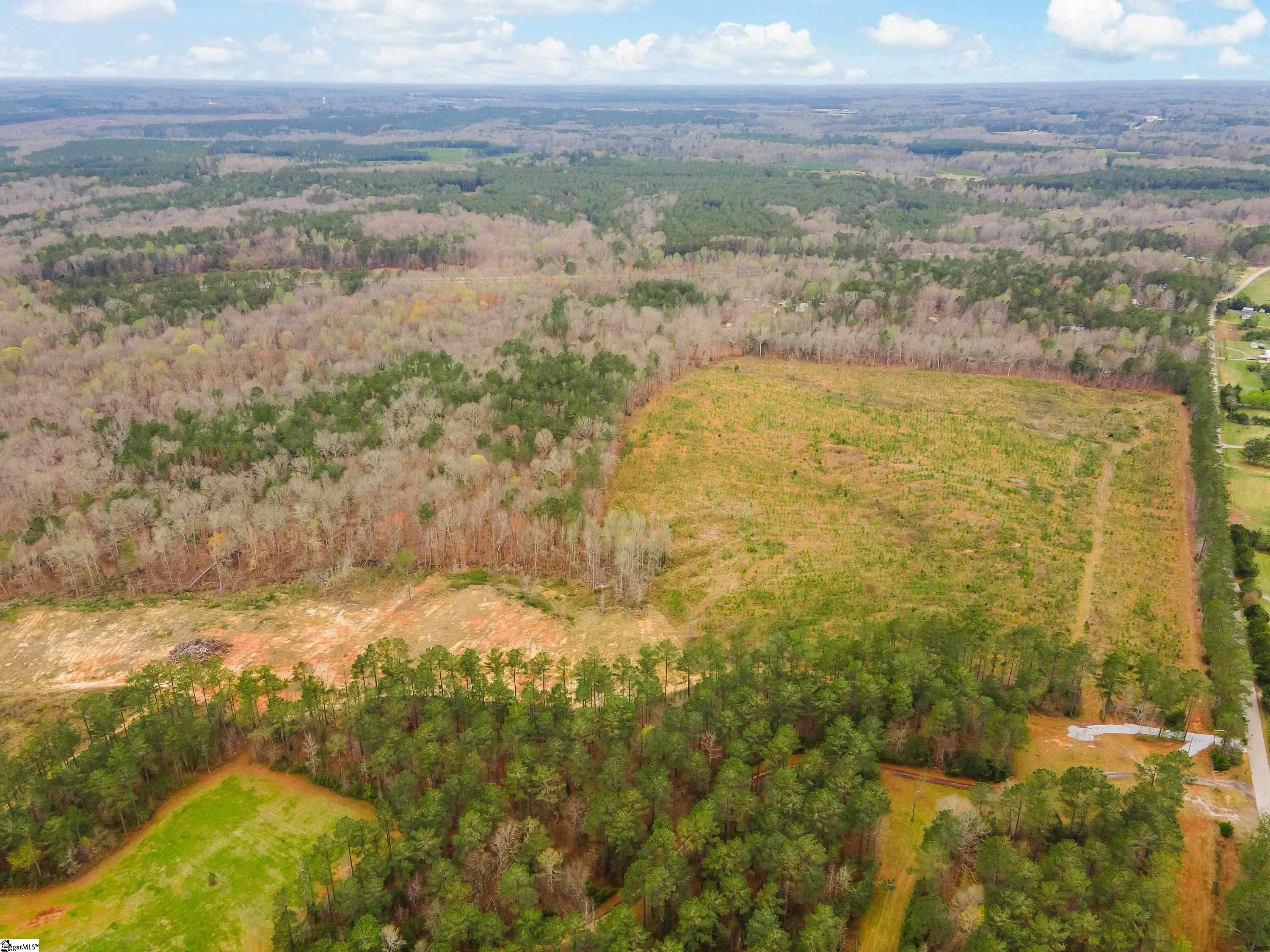 738 Lake Road, Unit LOT 1 Clinton, SC 29325 - Photo 10 of 24