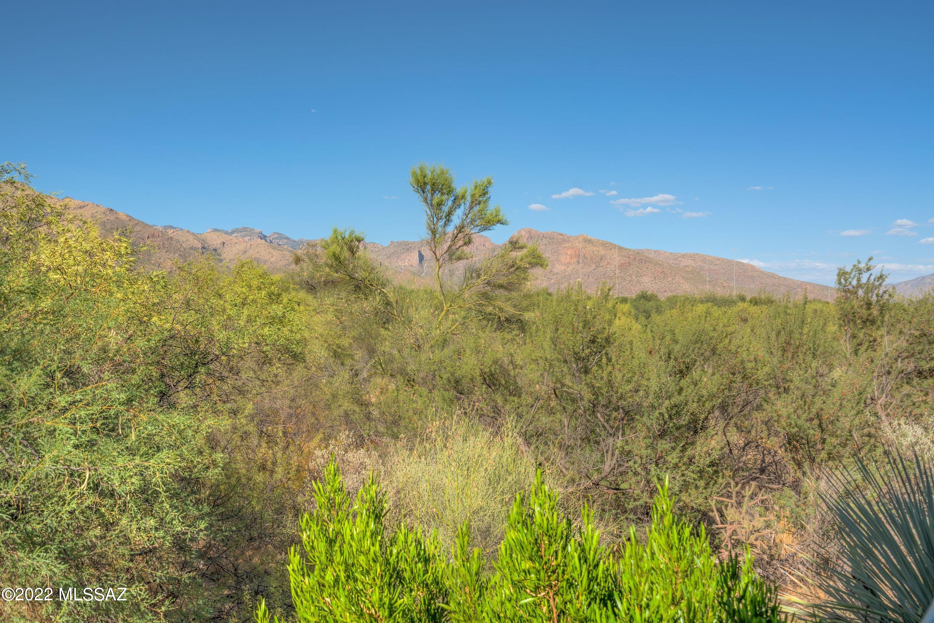 5800 North Kolb Road, Unit 12165 Tucson, AZ 85750 - Photo 30 of 42 Gallery Image 30