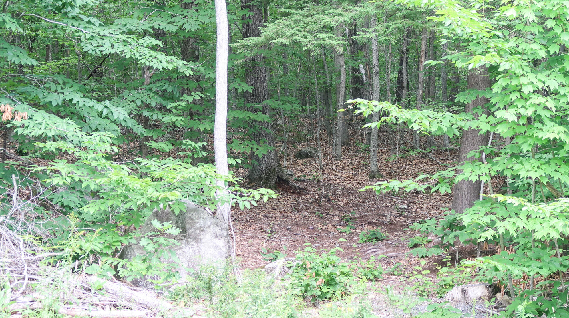 Tbd Bolton Hill Road Augusta, ME 04330 - Photo 2 of 9 IMG_1335
